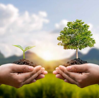 eco friendly (1)