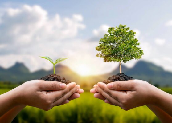 eco friendly (1)